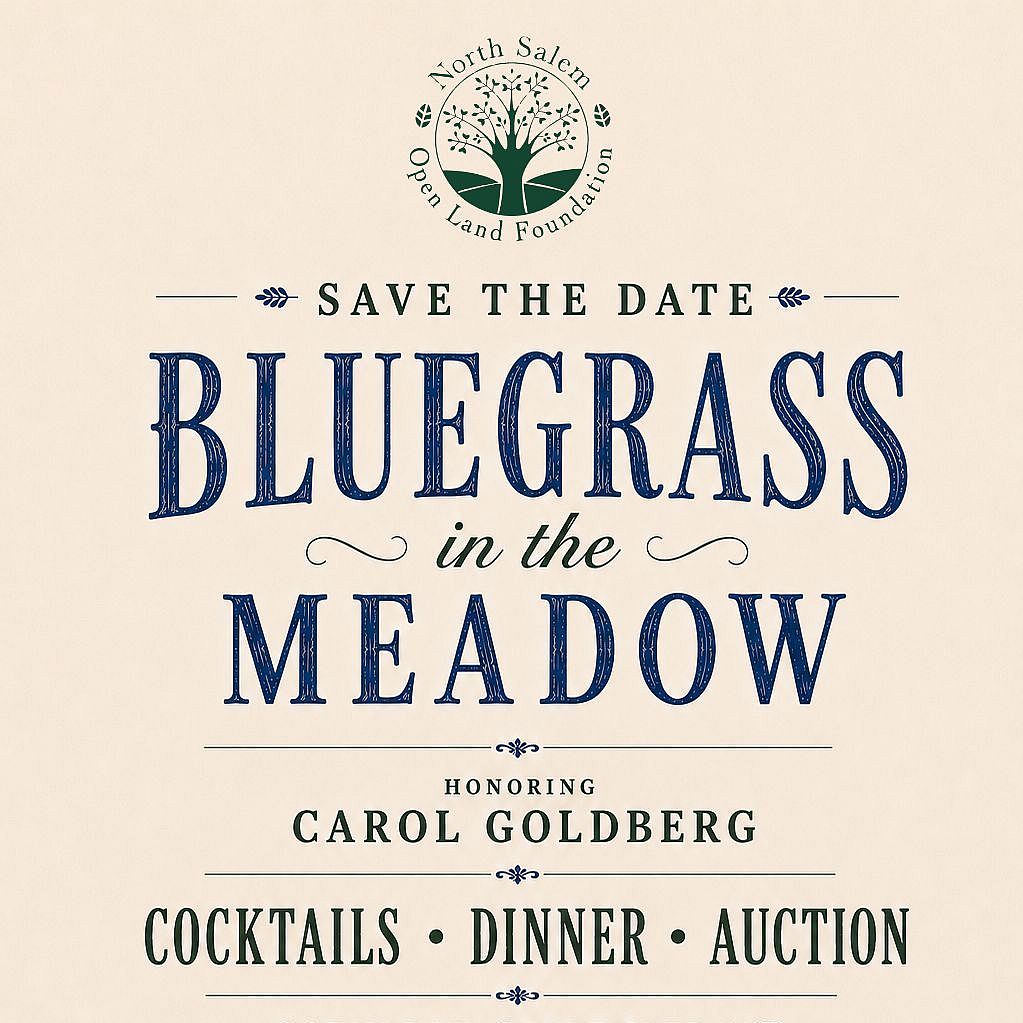 Bluegrass in the Meadow