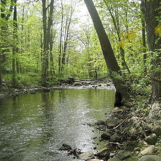 Lances Lippmann Preserve
