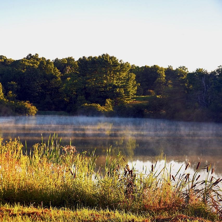 Fall Foliage Hike