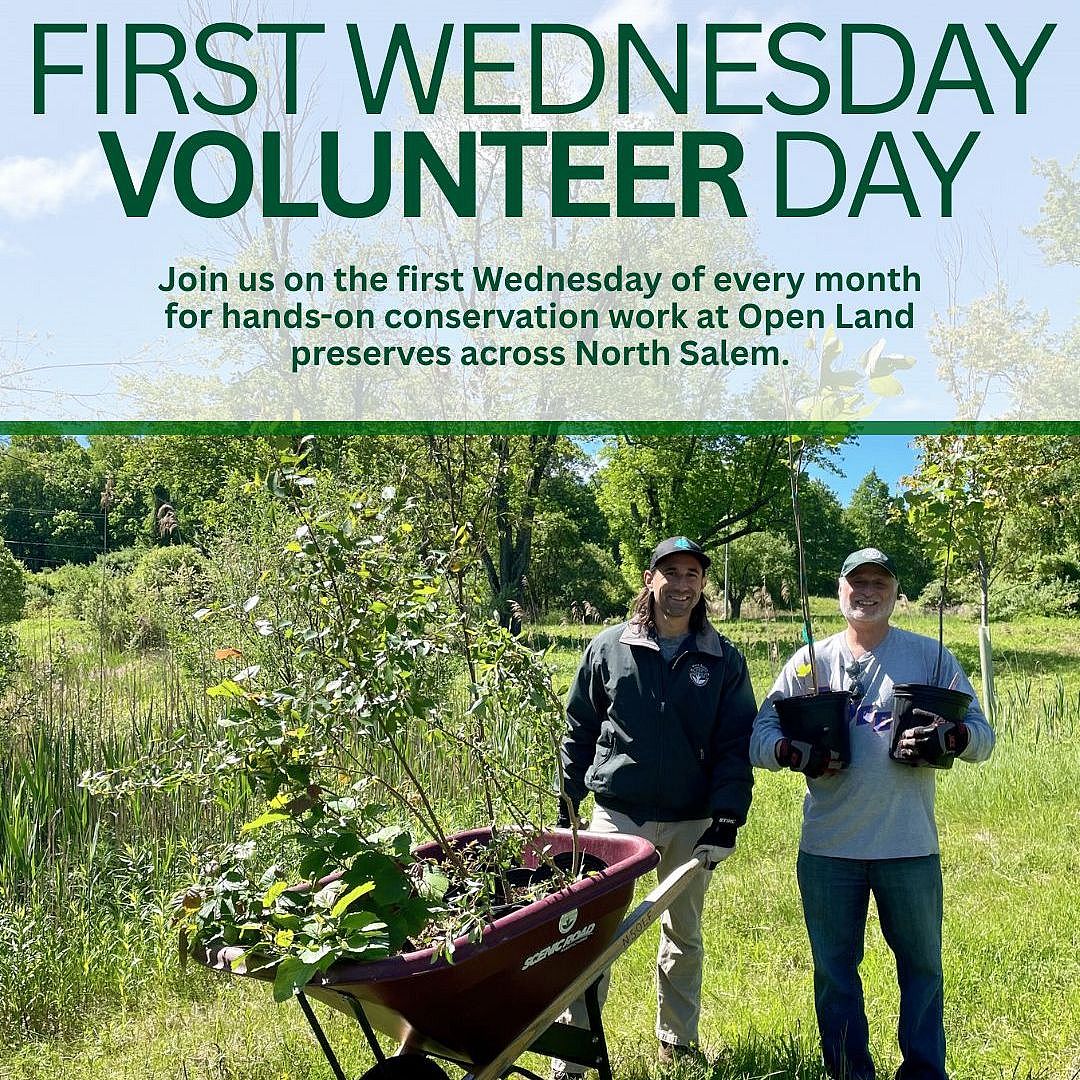 First Wednesday Volunteer Day