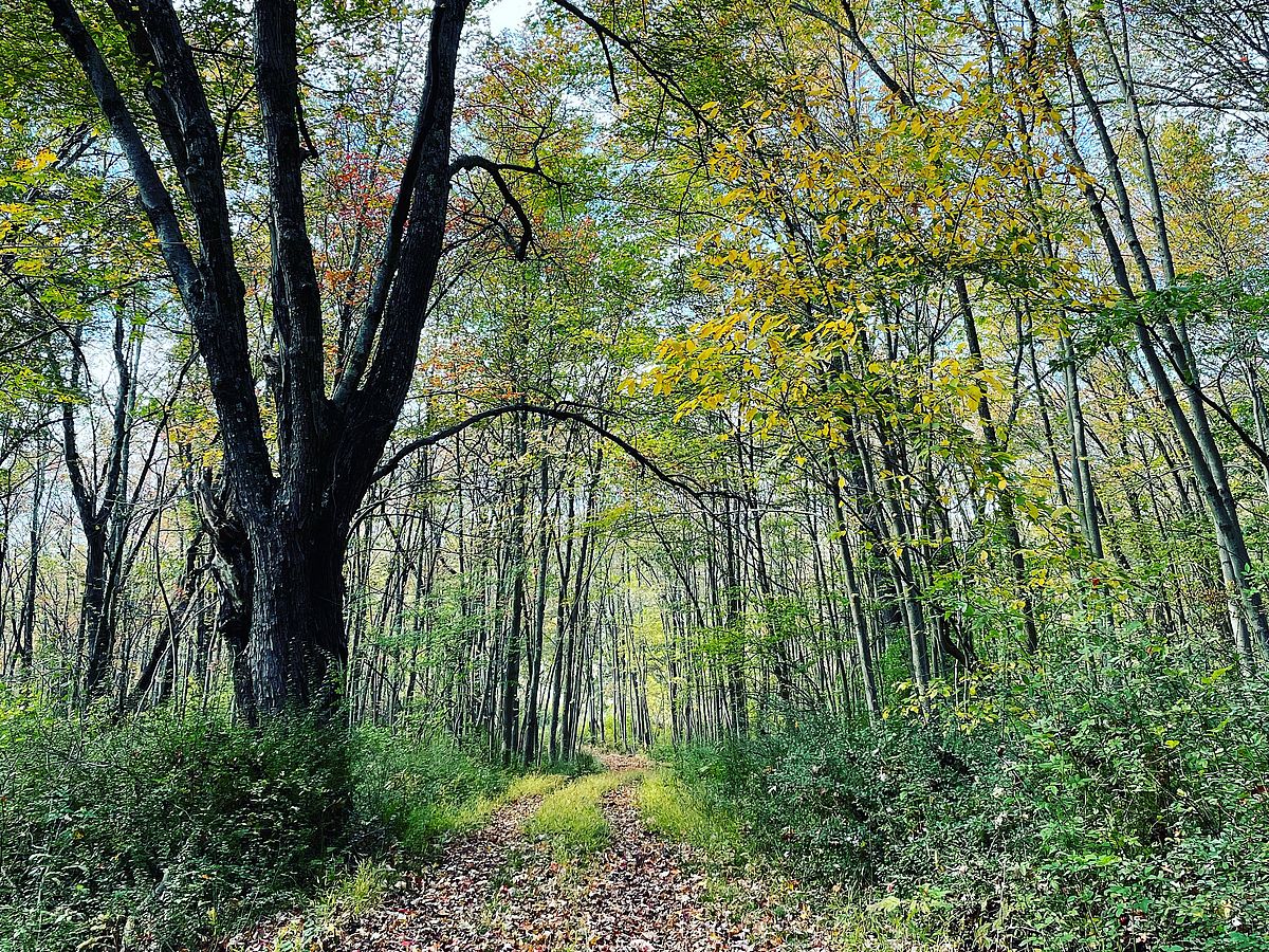 Entrance to Gaymark Preserve