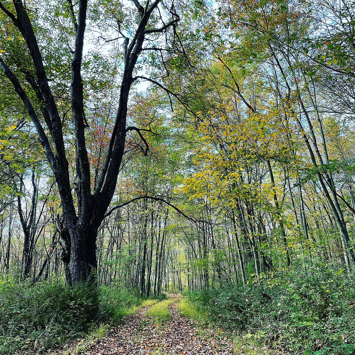 Entrance to Gaymark Preserve