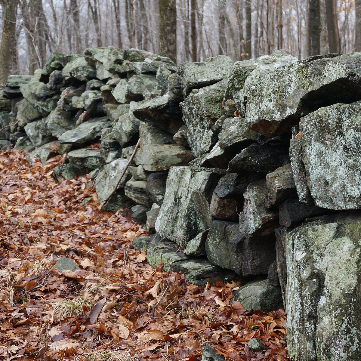 Stone wall at Pergament-O'Looney Preserve