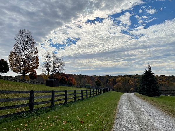 Levinson Farm Driveway