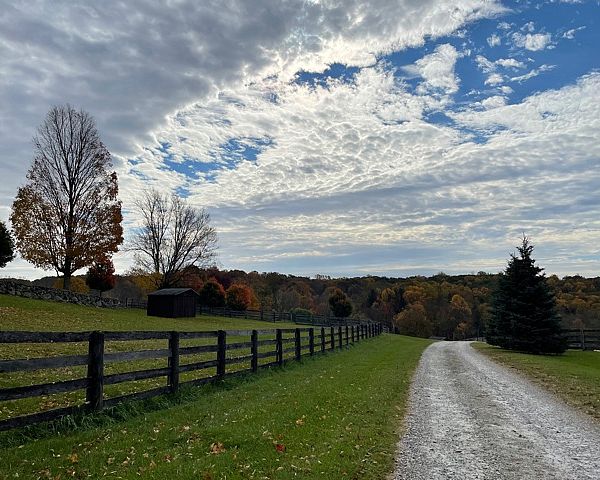 Levinson Farm Driveway
