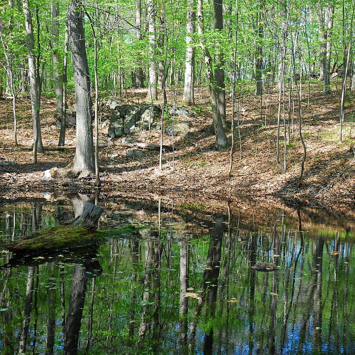 Bloomerside Preserve