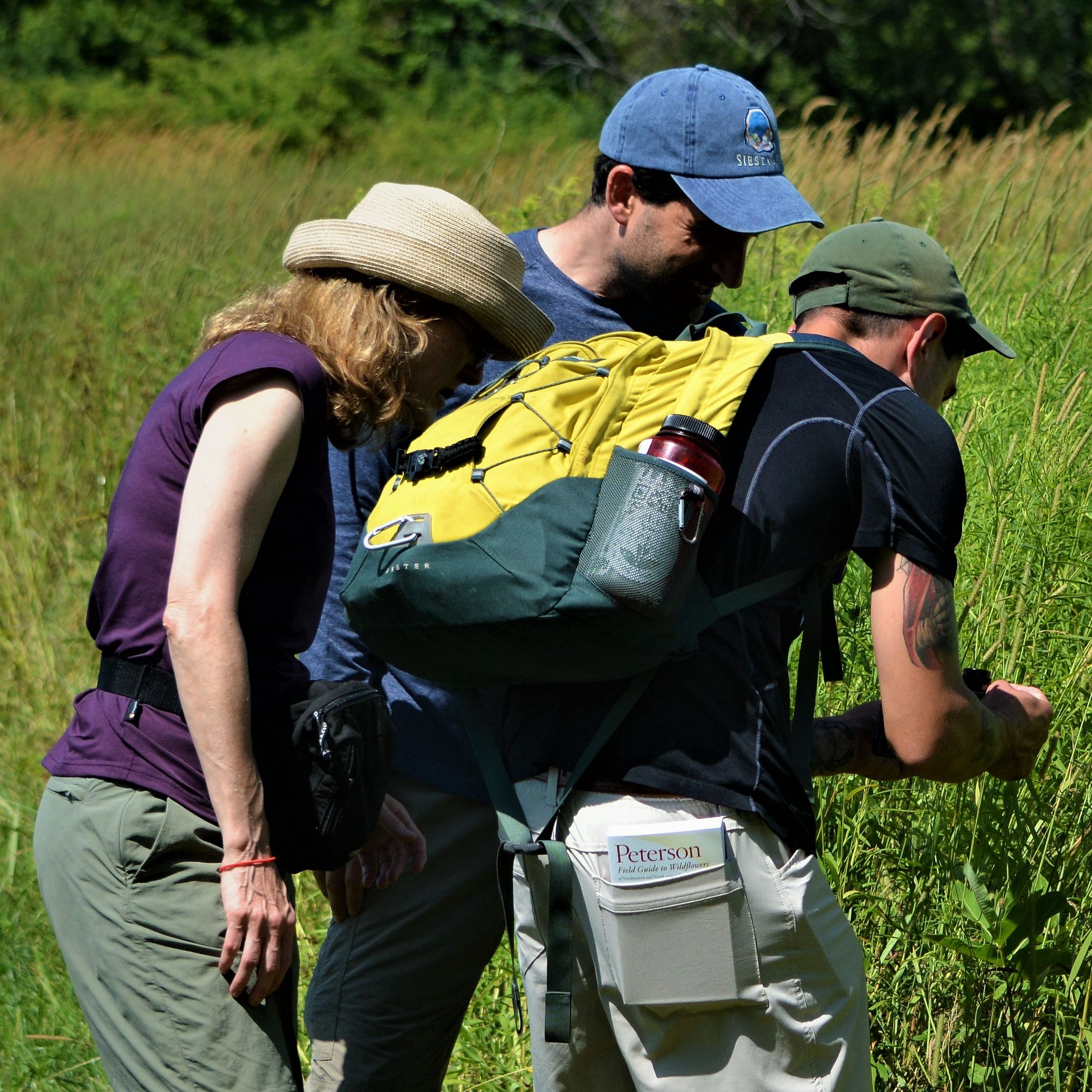 iNaturalist Quest: Exploring North Salem's Biodiversity