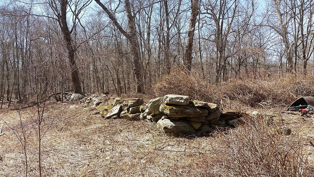 Stone wall at Bloomerside Preserve