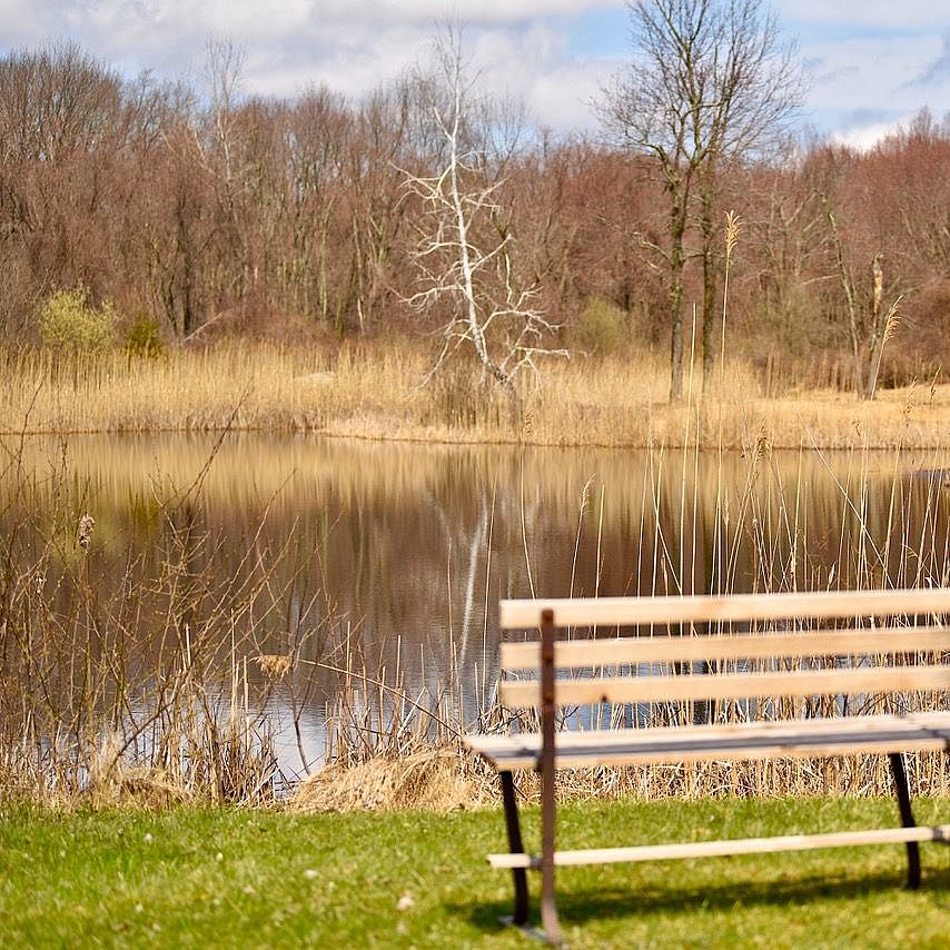 Wooden bench next to a pond at Weil Preserve