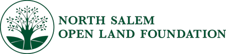 NSOLF Letterhead Logo